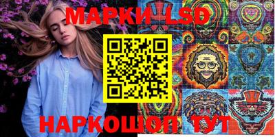 спиды Кингисепп