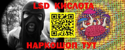 спиды Кингисепп