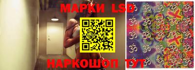спиды Кингисепп