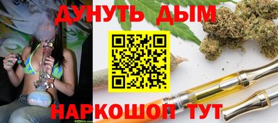 спиды Кингисепп