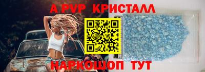 спиды Кингисепп