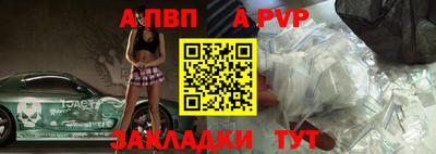 спиды Кингисепп